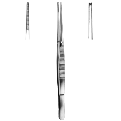 Pensa disectie TAYLOR, 1x2 dinti, 17cm 