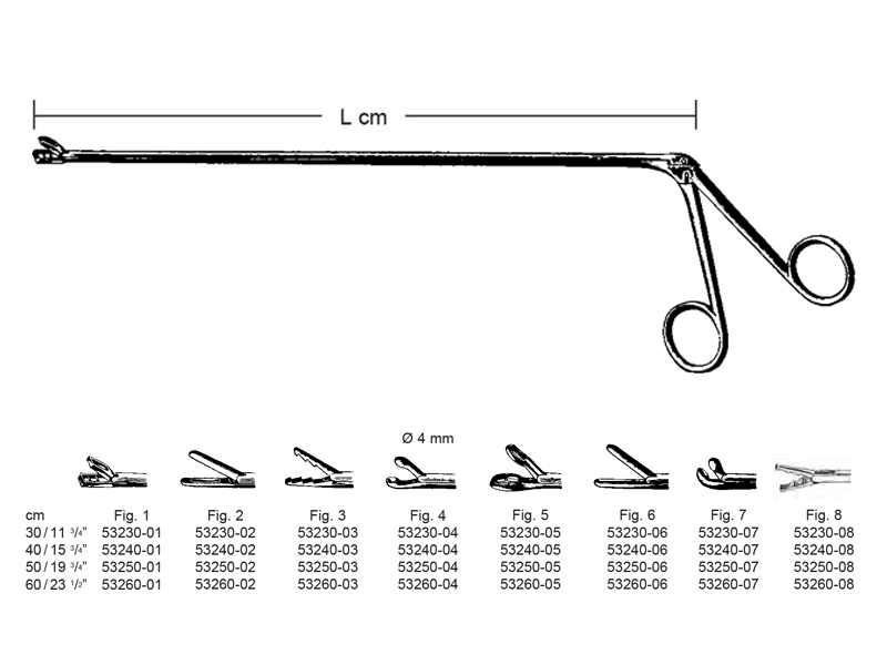 Pensa CHEVALIER-JACKSON, 30cm  Fig 2