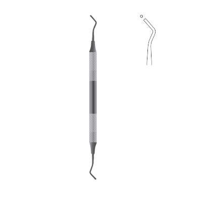 Spatula dentara Fig. 2