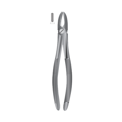  Forceps pentru extractie incisivi, mandibula superioara, Fig.2 