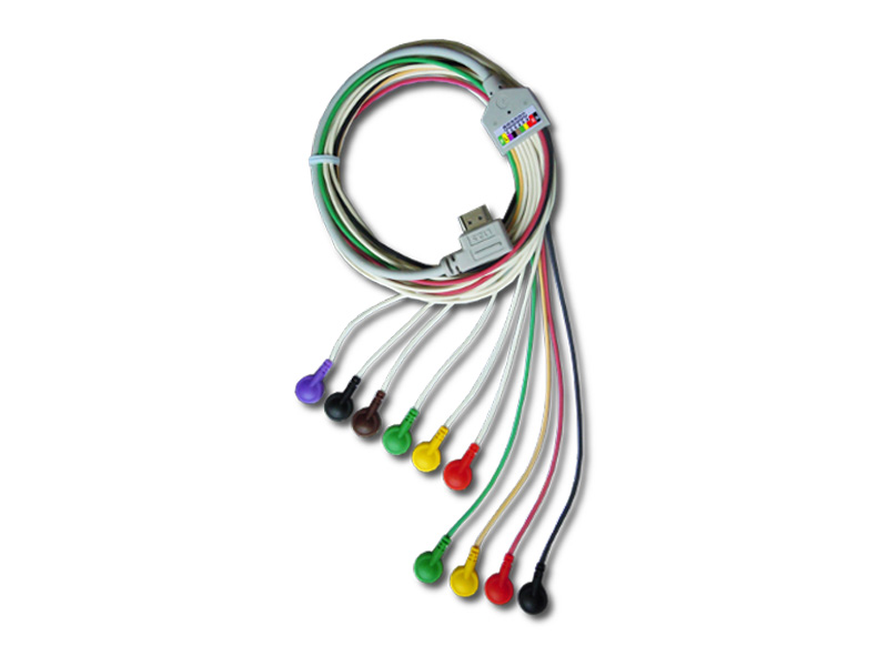 Cablu pentru holter EC-12H, 10 fire 