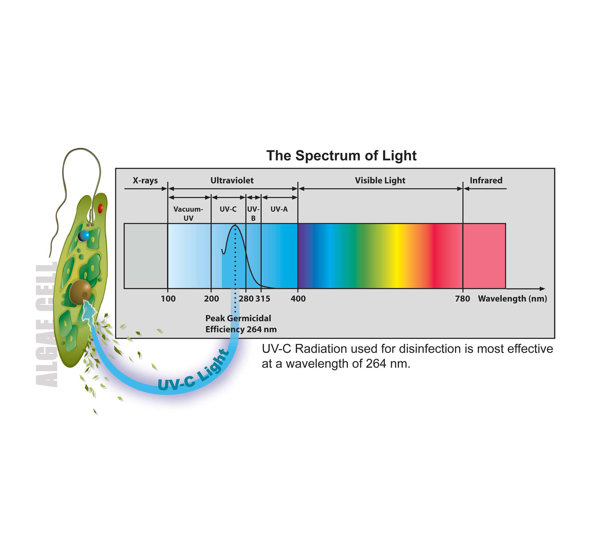 Lampa bactericida LBA- Perete  2x55W