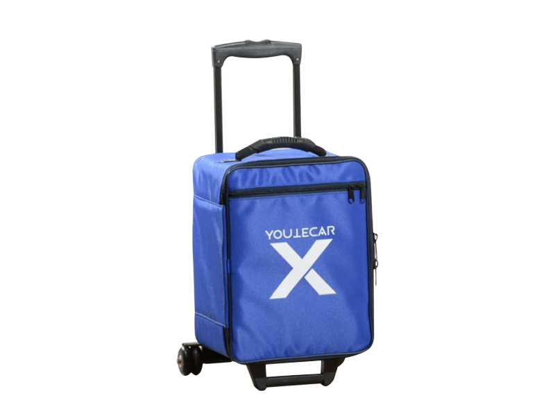 Geanta transport YTX 