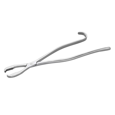 Pensa sustinere oase LANE, L33cm,  fara clichet