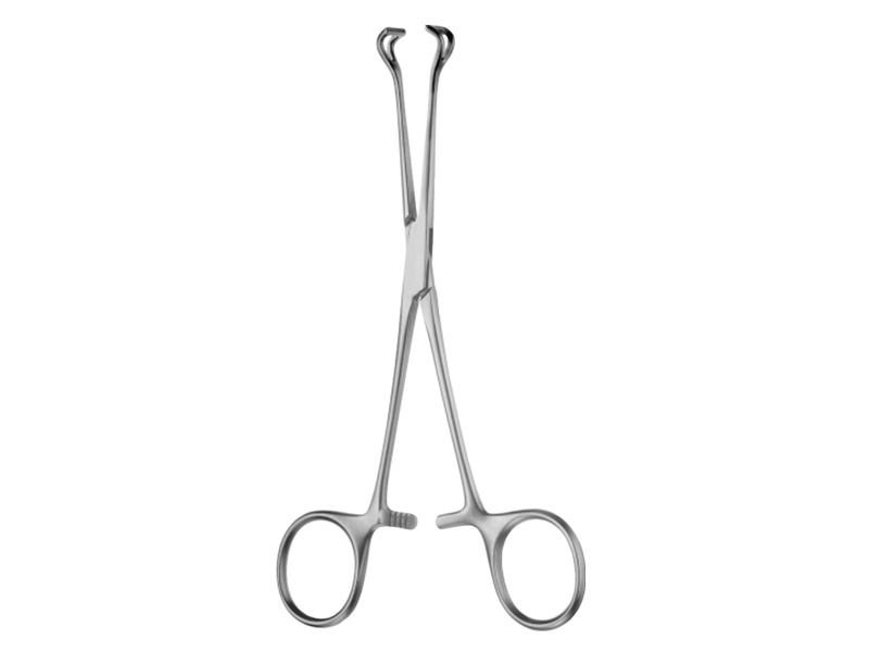 Pensa intestinala BABCOCK,  L14cm