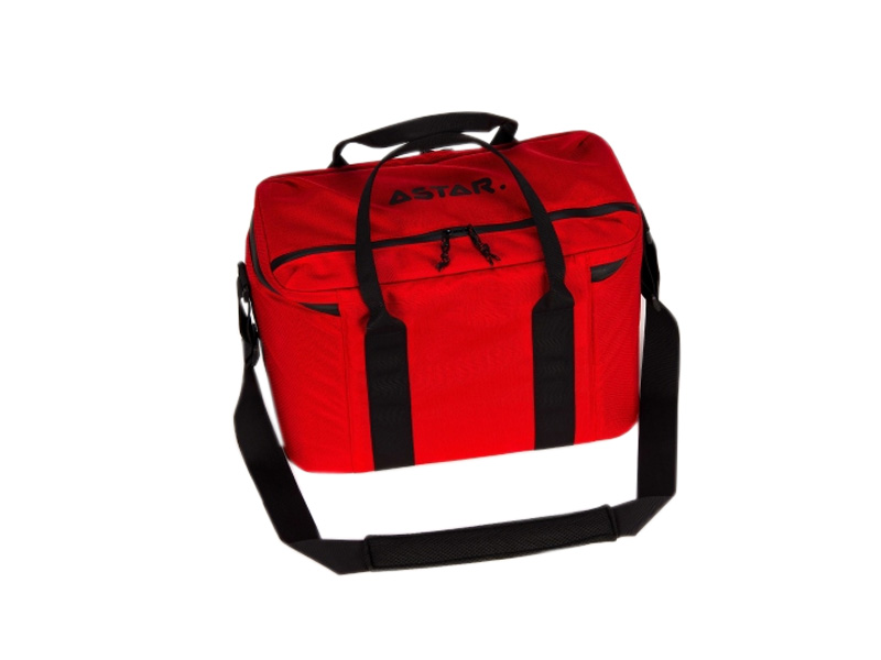 Geanta de transport PRO L 