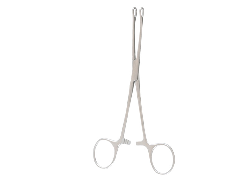 Pensa intestinala WILLIAMS, L16.5cm 