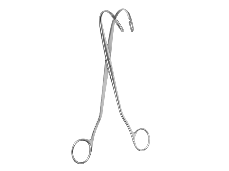 Pensa calcul renal RANDALL  L22cm (Fig 2)