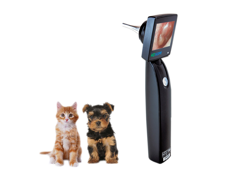 Video-otoscop MD SCOPE cu 3 sonde uz veterinar