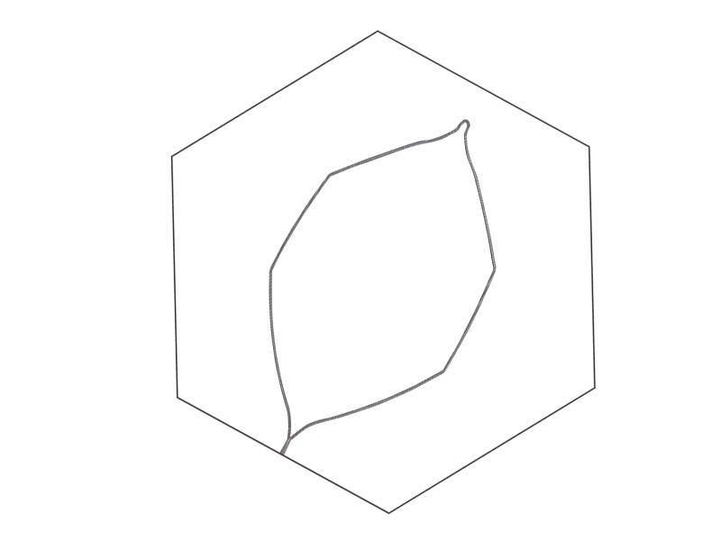 Ansa polipectomie HEXAGONALA, unica utilizare, HF tub D2.3mm, bucla D30mm, L230cm 