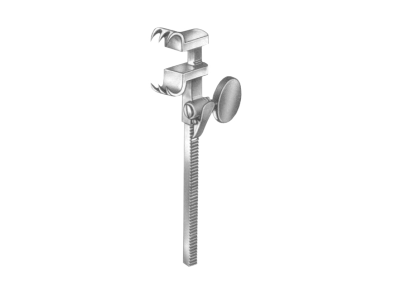 Contractor coaste BAILEY, L16cm 