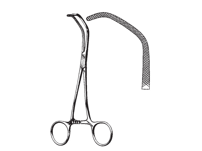 Clema vasculara SATINSKY, L15cm 