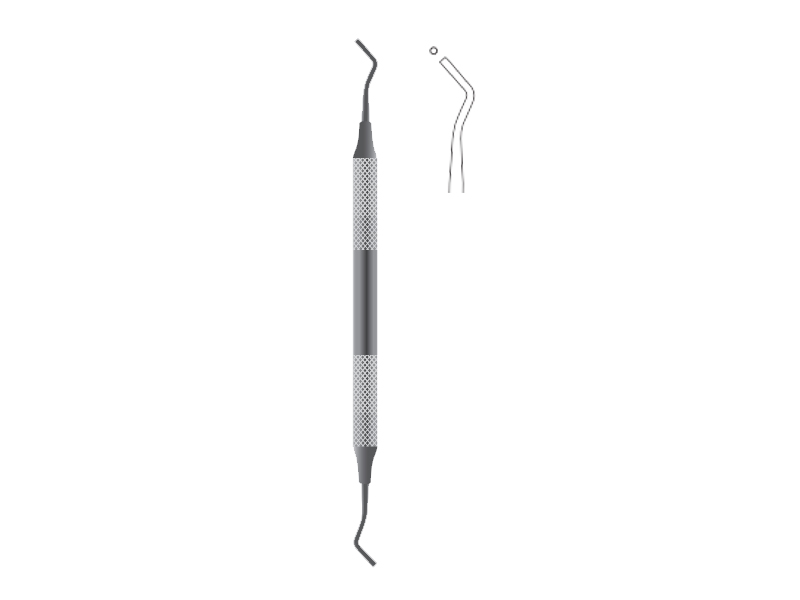 Spatula dentara Fig. 2