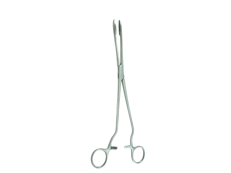 Pensa disectie CHERON L25cm