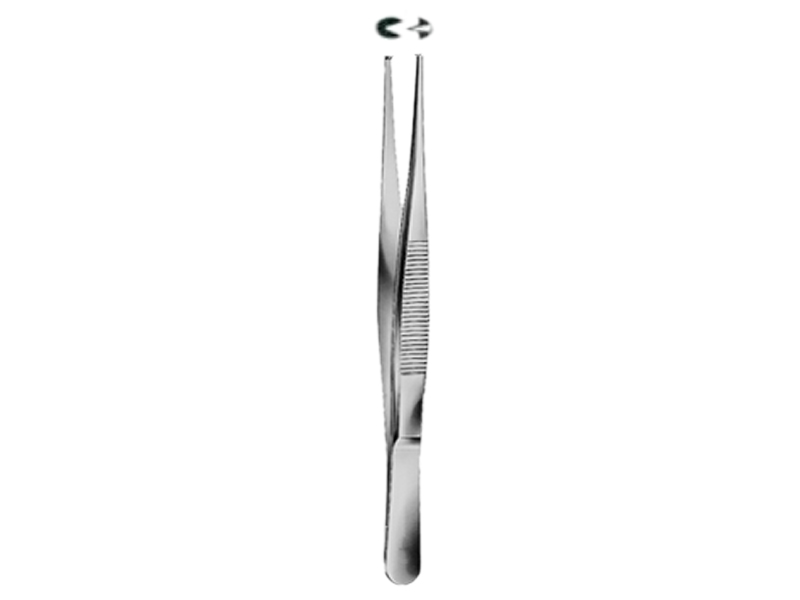 Pensa chirurgicala STANDARD, 1x2 dinti  L10.5cm