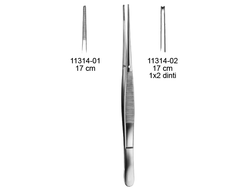 Pensa disectie TAYLOR, 1x2 dinti, 17cm 