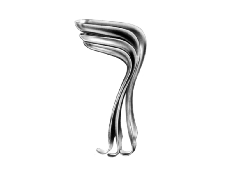 Specul vaginal JACKSON  100x38mm (Fig 3)